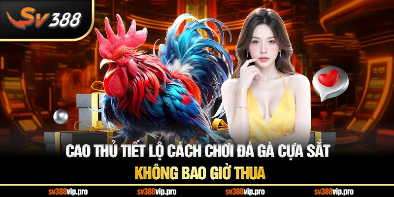 Cao thủ tiết lộ cách chơi đá gà cựa sắt không bao giờ thua